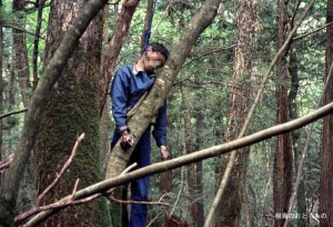 aokigahara.jpg